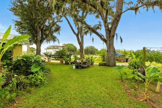 a view of a backyard with table and chairs potted plants