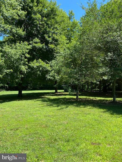 238 Moose Lodge Road Camden Wyoming, DE 19934 - Photo 16 of 59