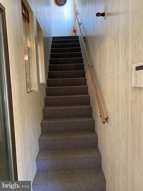 238 Moose Lodge Road Camden Wyoming, DE 19934 - Photo 39 of 59