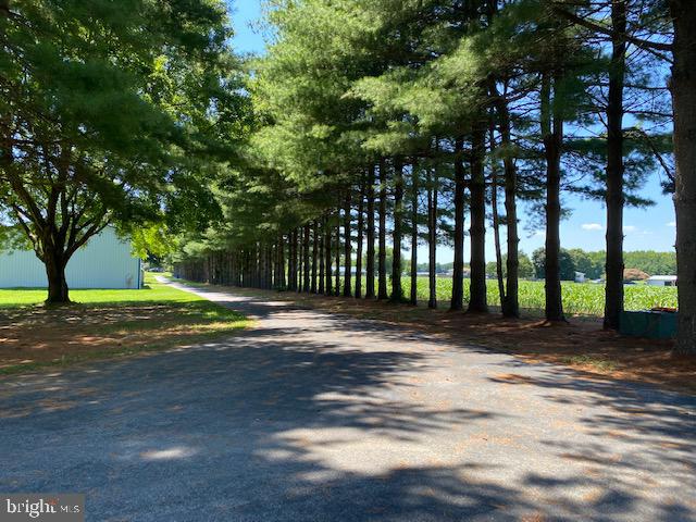 238 Moose Lodge Road Camden Wyoming, DE 19934 - Photo 5 of 59