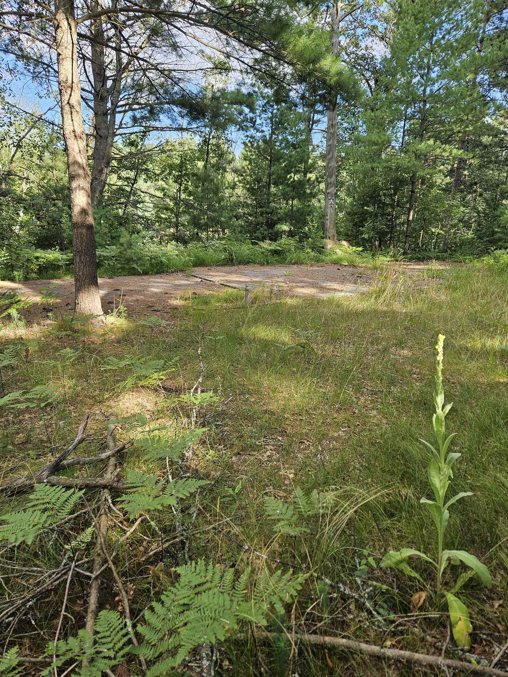 0 Curtis Road Hale, MI 48739 - Photo 13 of 24