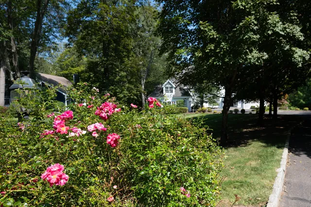 a flower garden is sitting in the middle of a yard