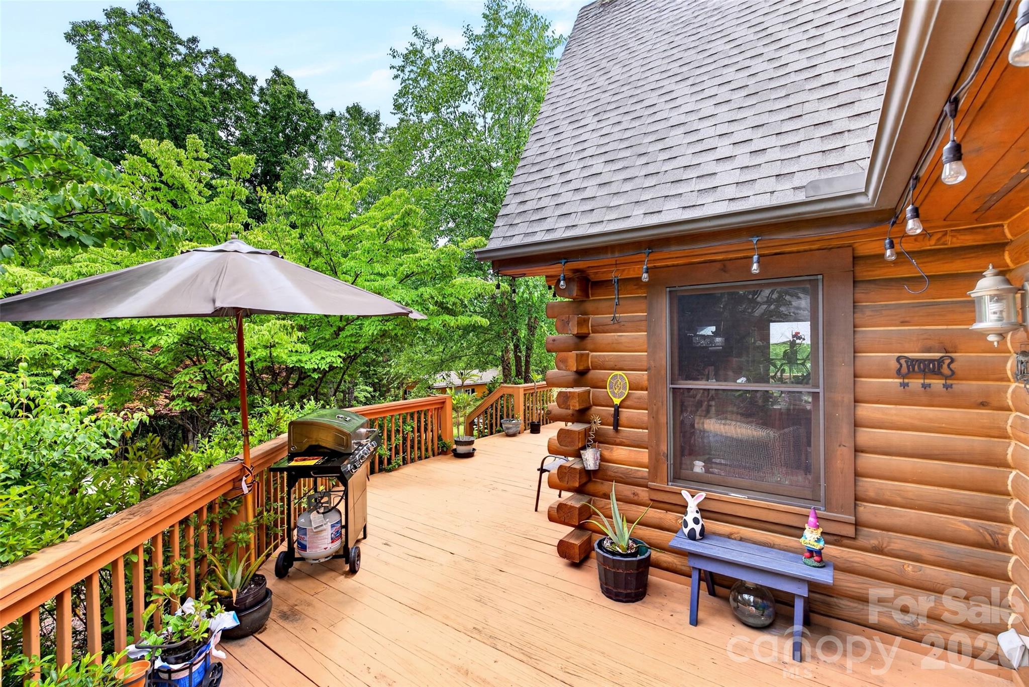 535 North Highland Road Mill Spring, NC 28756 - Photo 32 of 48