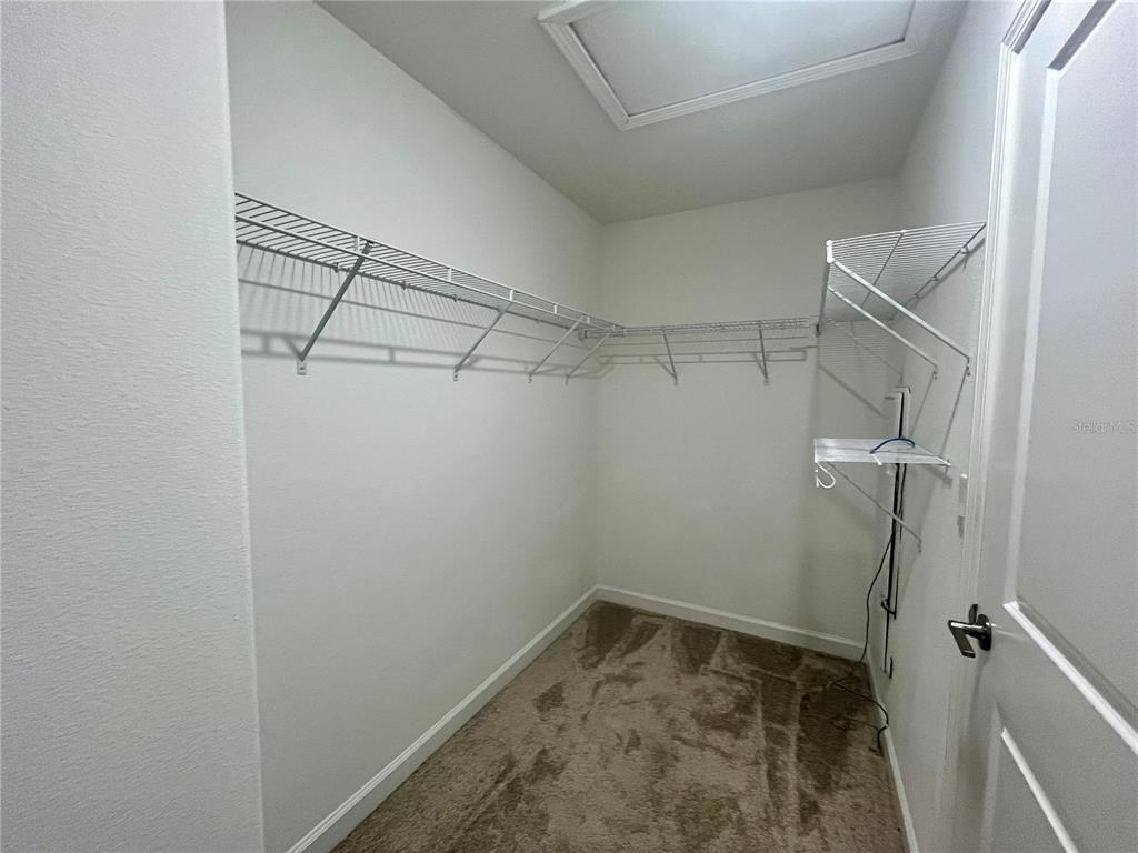 25149 Lambrusco Loop Lutz, FL 33559 - Photo 22 of 31