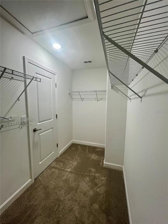 25149 Lambrusco Loop Lutz, FL 33559 - Photo 23 of 31