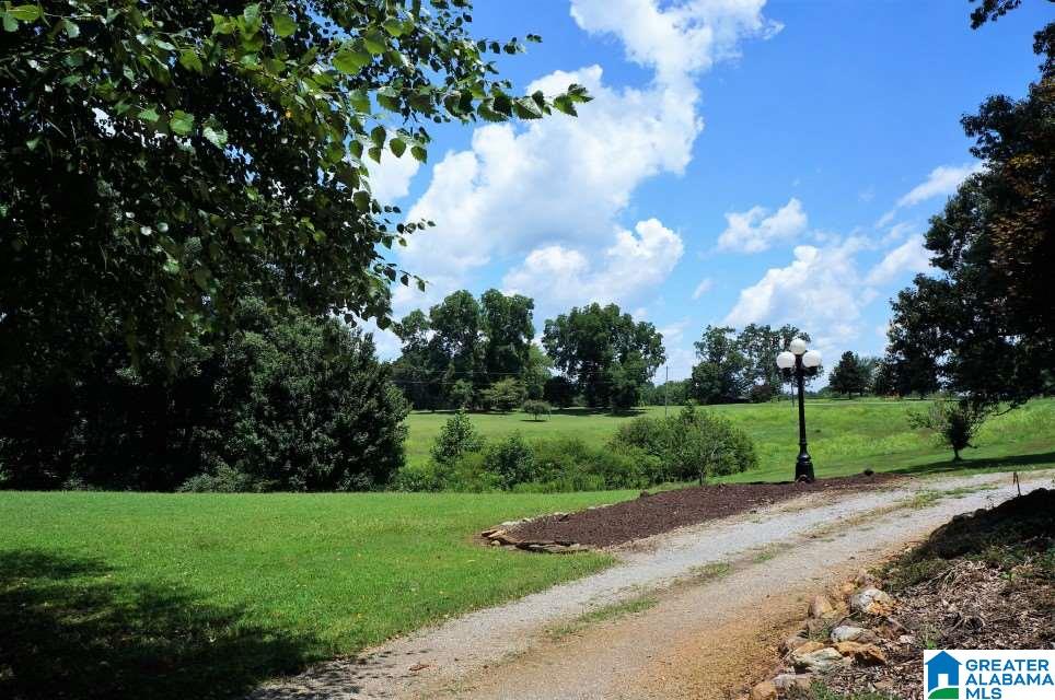 4721 County Road 49 Ranburne, AL 36273 - Photo 27 of 35