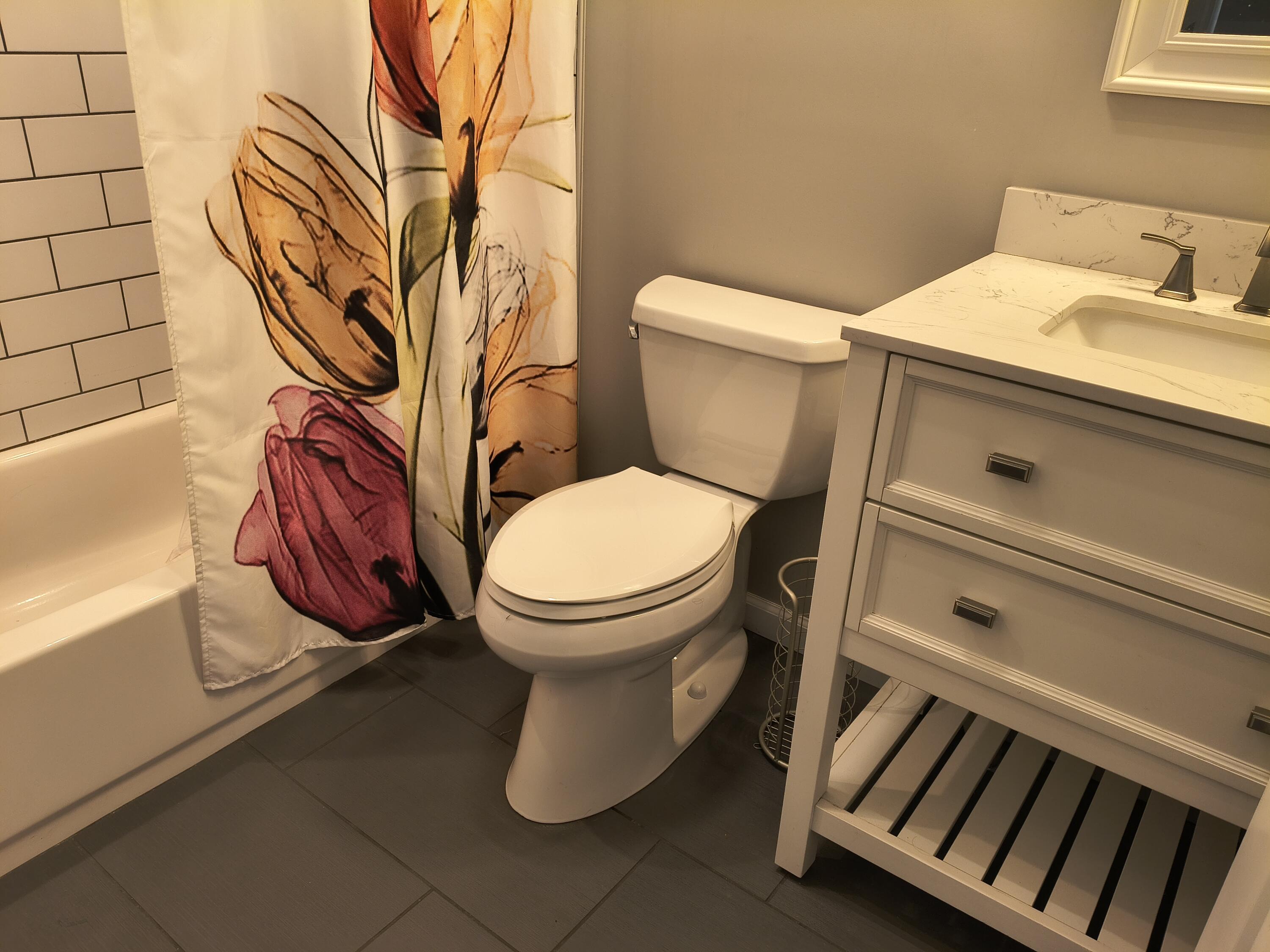 1576 Barron Lake Road Niles, MI 49120 - Photo 12 of 19 Main Bathroom