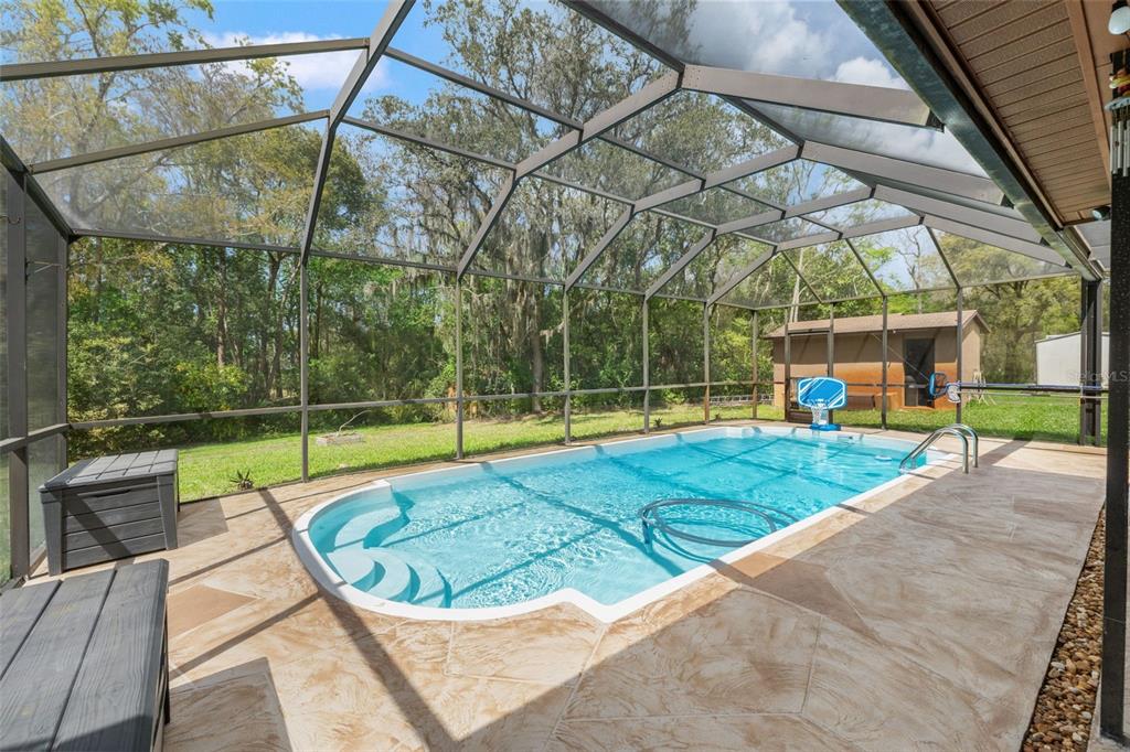 1357 Dinsmore Court New Port Richey, FL 34655 - Photo 39 of 49