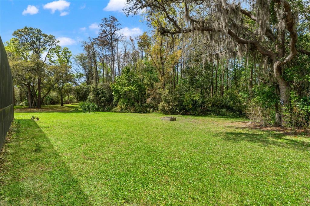 1357 Dinsmore Court New Port Richey, FL 34655 - Photo 45 of 49