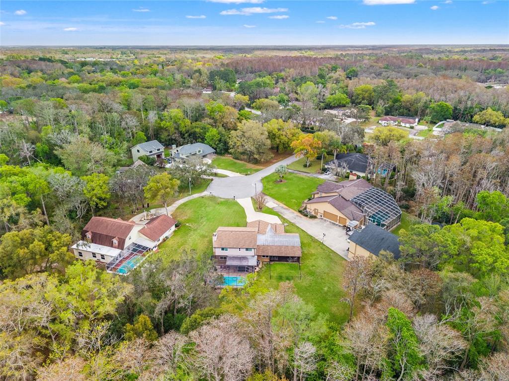 1357 Dinsmore Court New Port Richey, FL 34655 - Photo 48 of 49