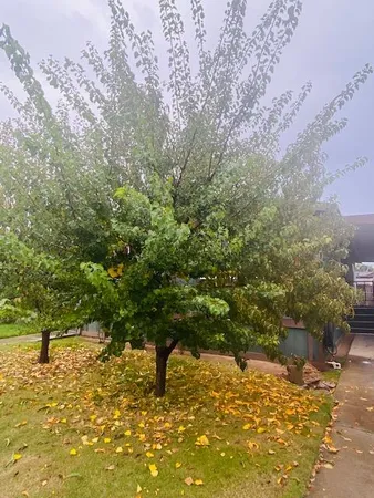 $115,000 | 5901 Newbrook Circle, Unit 8, Riverbank, CA 95367