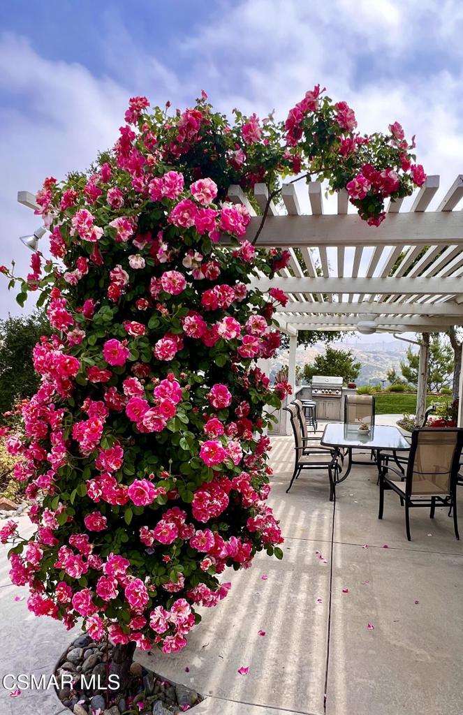 24525 Desert Avenue Newhall, CA 91321 - Photo 75 of 76 a view of a flowers in a flower in a front of a house