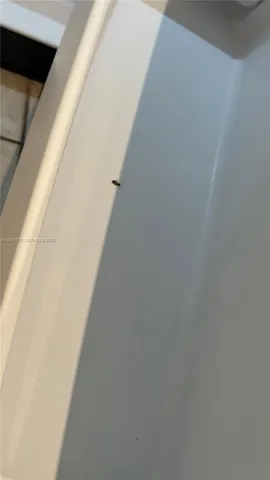 $2,100 | 4177 Haverhill Road, Unit 814, West Palm Beach, FL 33417