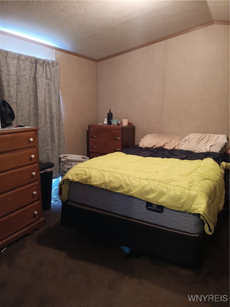 49 Sandy Brook Drive Hamlin, NY 14464 - Photo 20 of 45 master bedroom