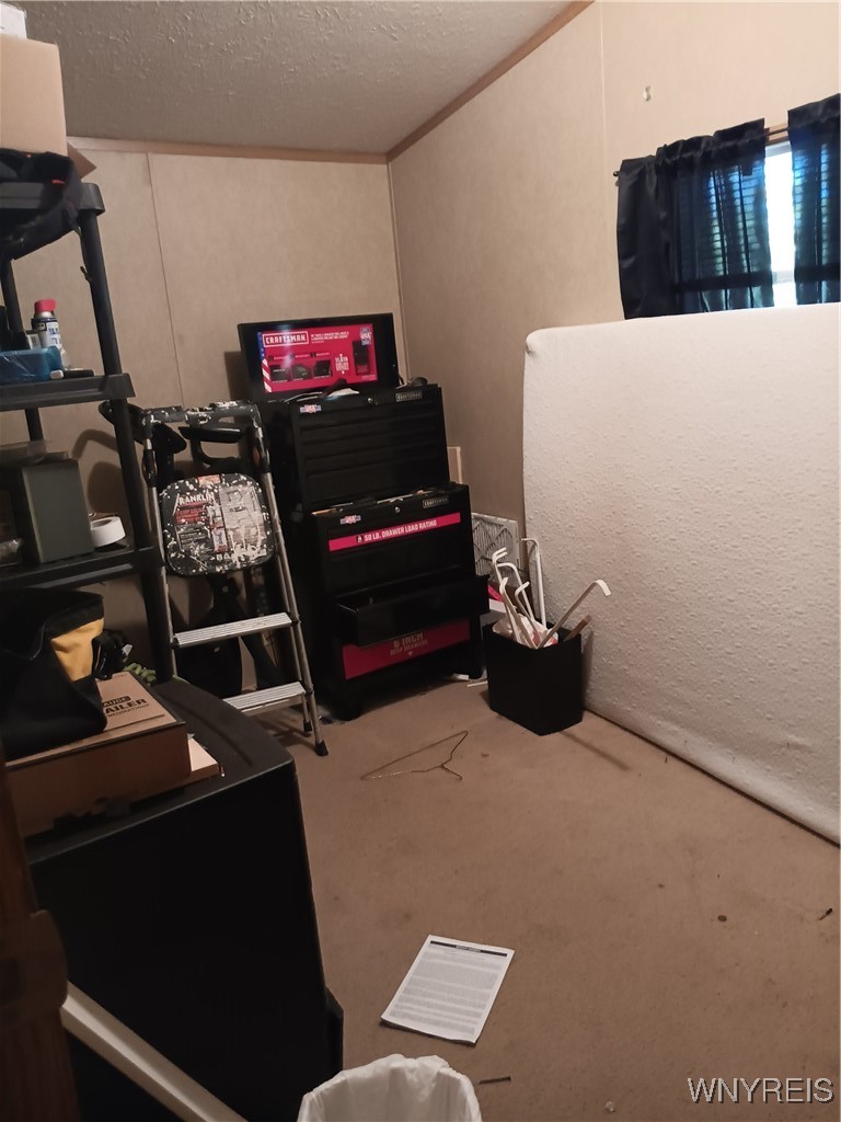 49 Sandy Brook Drive Hamlin, NY 14464 - Photo 29 of 45 3rd bedroom