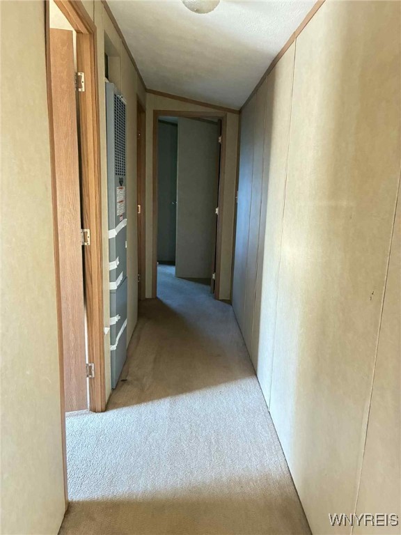 49 Sandy Brook Drive Hamlin, NY 14464 - Photo 37 of 45