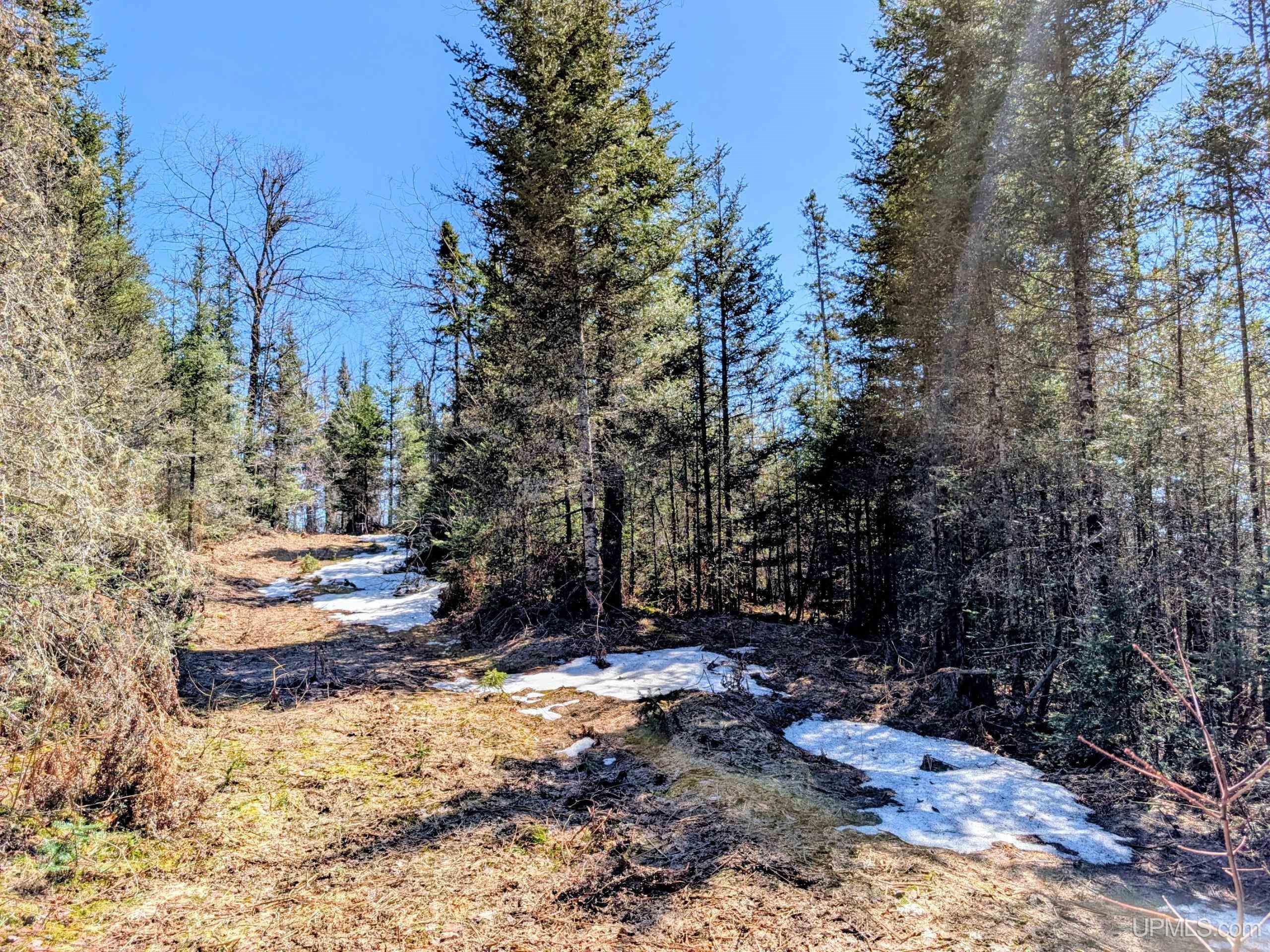 8-acres East Cable Lake Road Crystal Falls, MI 49920 - Photo 18 of 20