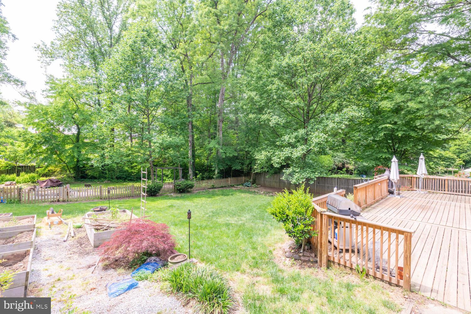 4021 Laurel Road Alexandria, VA 22309 - Photo 7 of 17