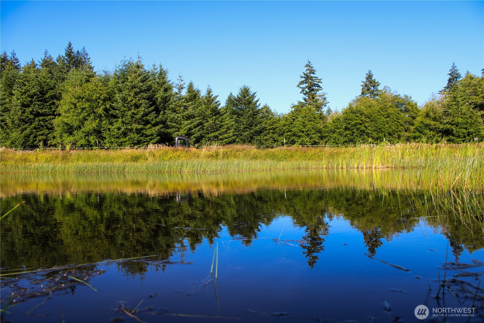 447 Boistfort Road Curtis, WA 98538 - Photo 37 of 40 a view of a lake in between two trees