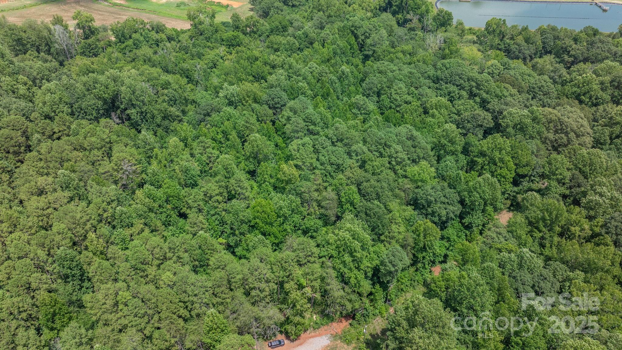 0 Rolling Road Lincolnton, NC 28092 - Photo 12 of 37 Gallery Image 12