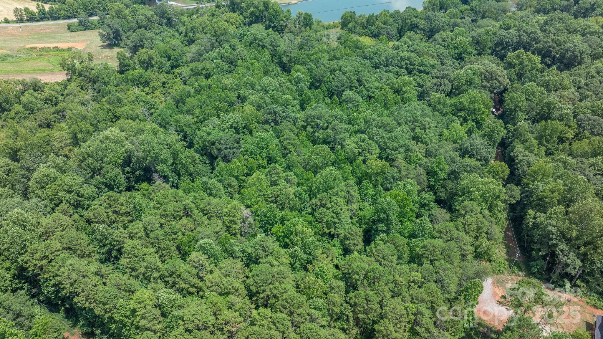 0 Rolling Road Lincolnton, NC 28092 - Photo 13 of 37 Gallery Image 13