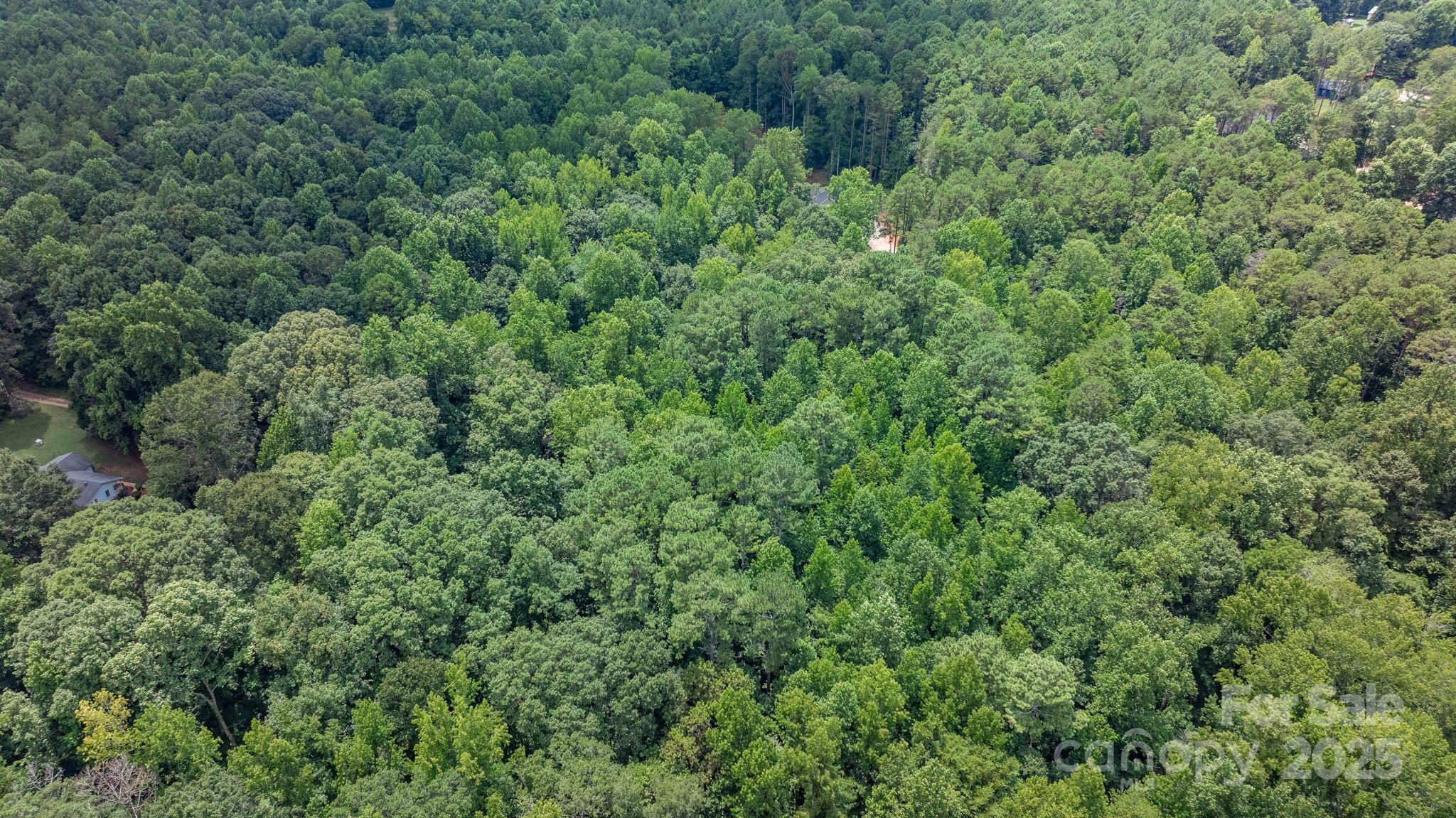 0 Rolling Road Lincolnton, NC 28092 - Photo 16 of 37 Gallery Image 16