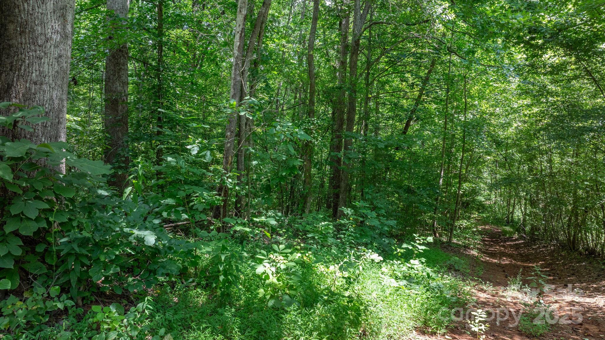 0 Rolling Road Lincolnton, NC 28092 - Photo 3 of 37 Gallery Image 3
