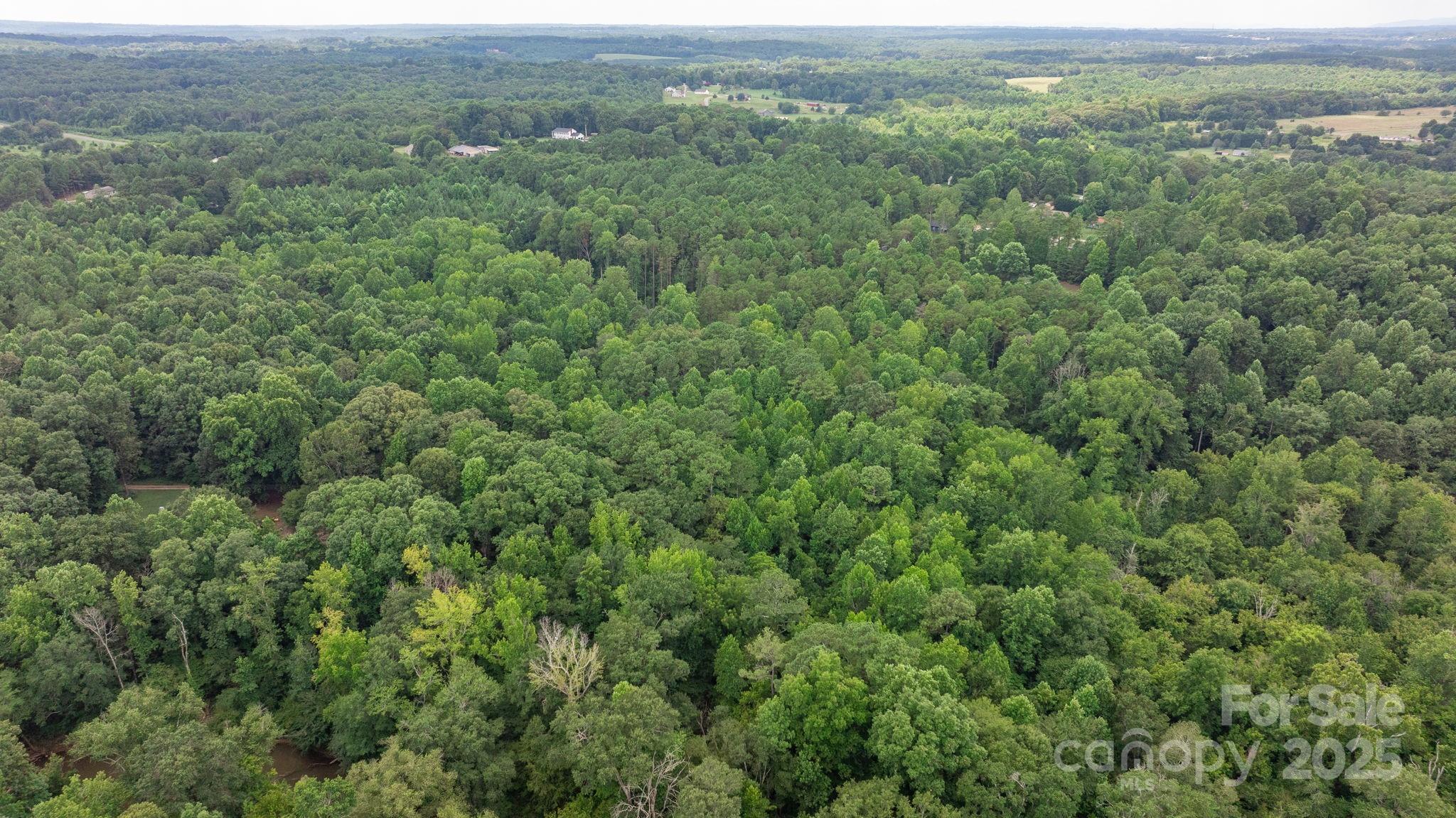 0 Rolling Road Lincolnton, NC 28092 - Photo 34 of 37 Gallery Image 34