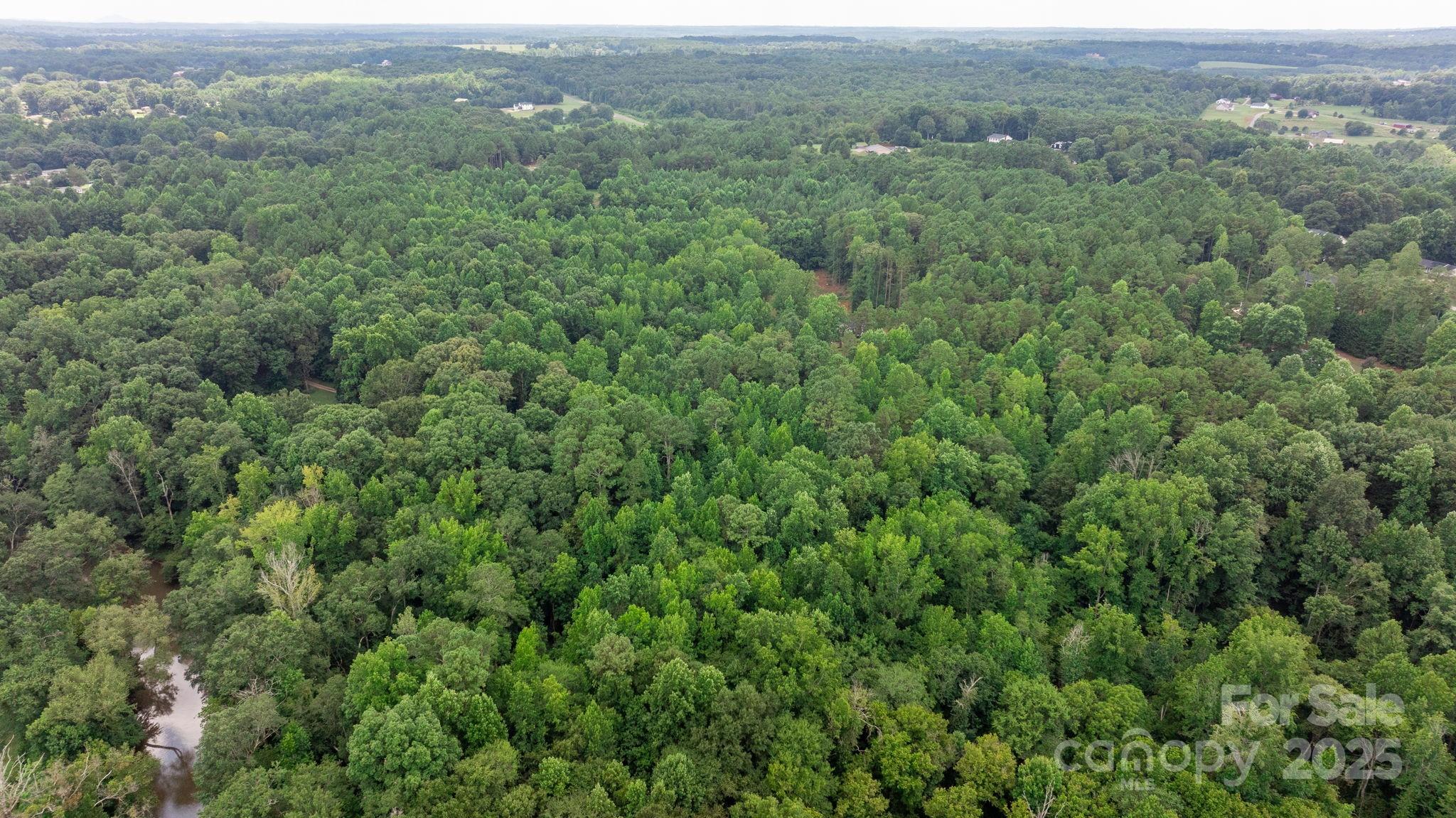 0 Rolling Road Lincolnton, NC 28092 - Photo 35 of 37 Gallery Image 35
