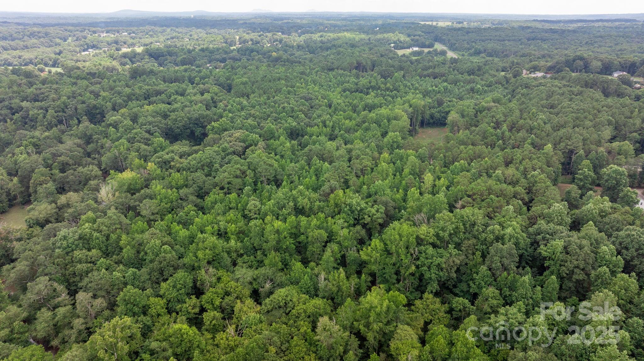 0 Rolling Road Lincolnton, NC 28092 - Photo 36 of 37 Gallery Image 36
