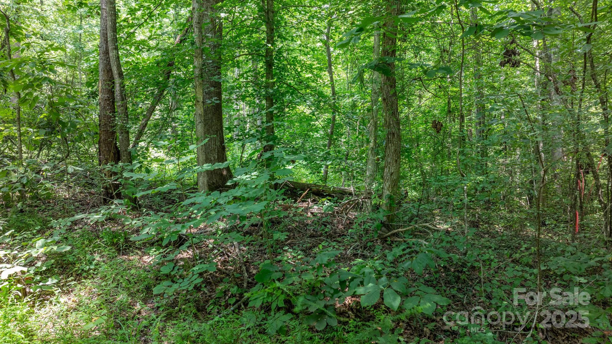 0 Rolling Road Lincolnton, NC 28092 - Photo 4 of 37 Gallery Image 4