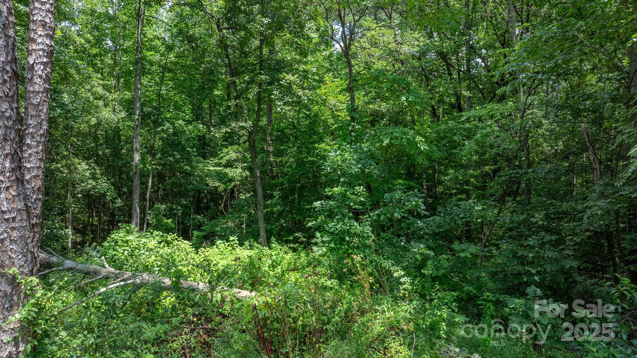 0 Rolling Road Lincolnton, NC 28092 - Photo 6 of 37 Gallery Image 6