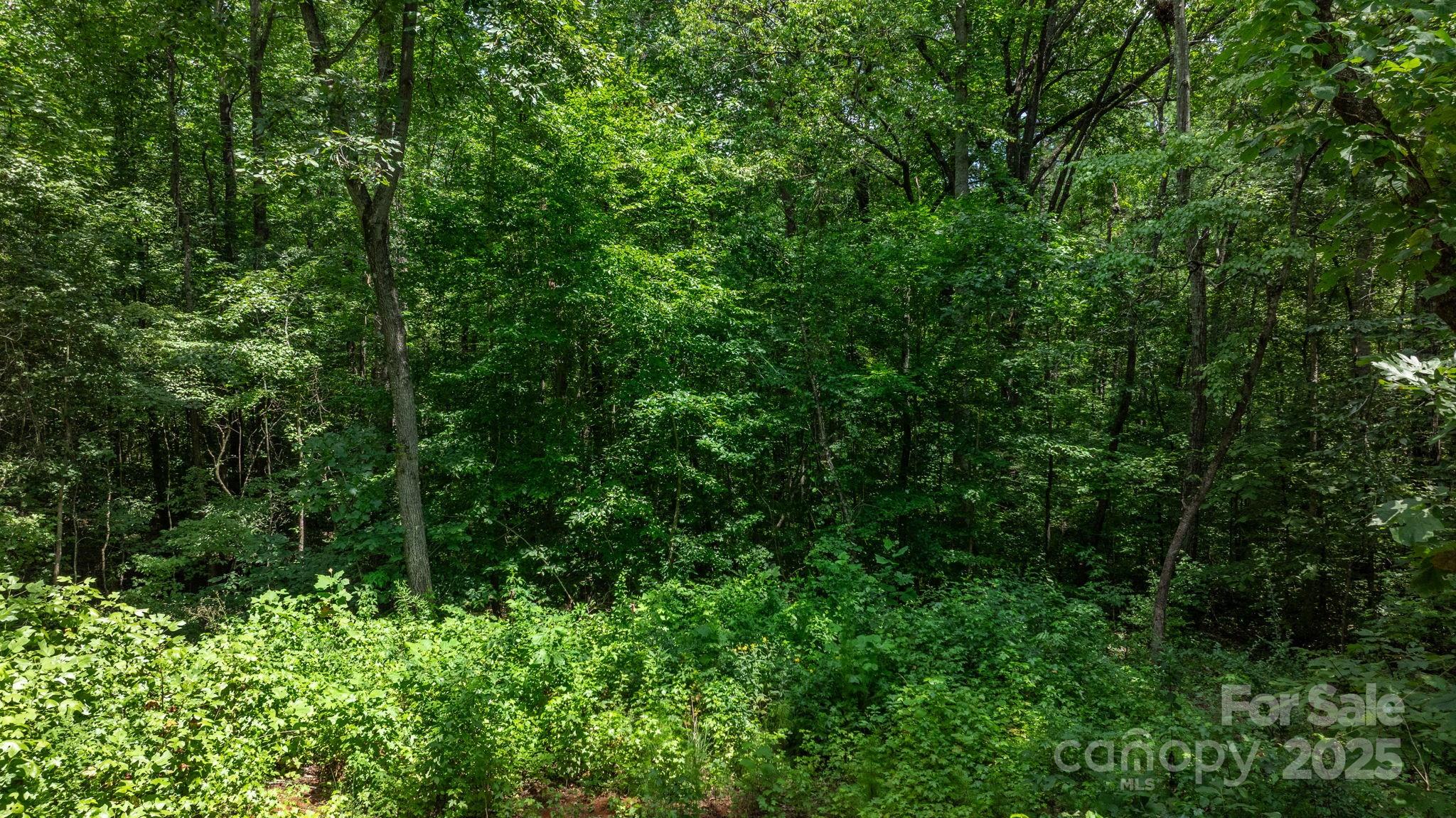 0 Rolling Road Lincolnton, NC 28092 - Photo 7 of 37 Gallery Image 7