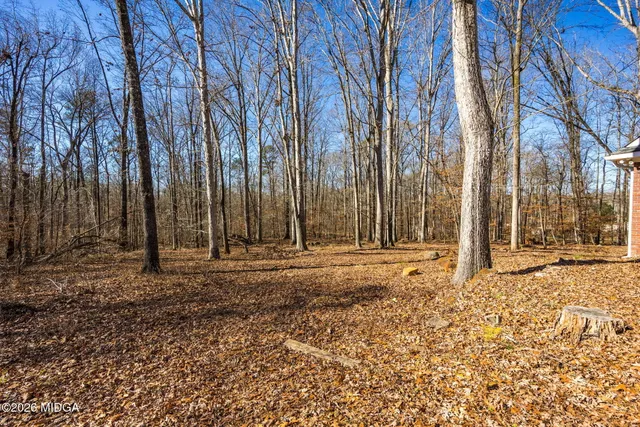 a view of outdoor space with lots of trees