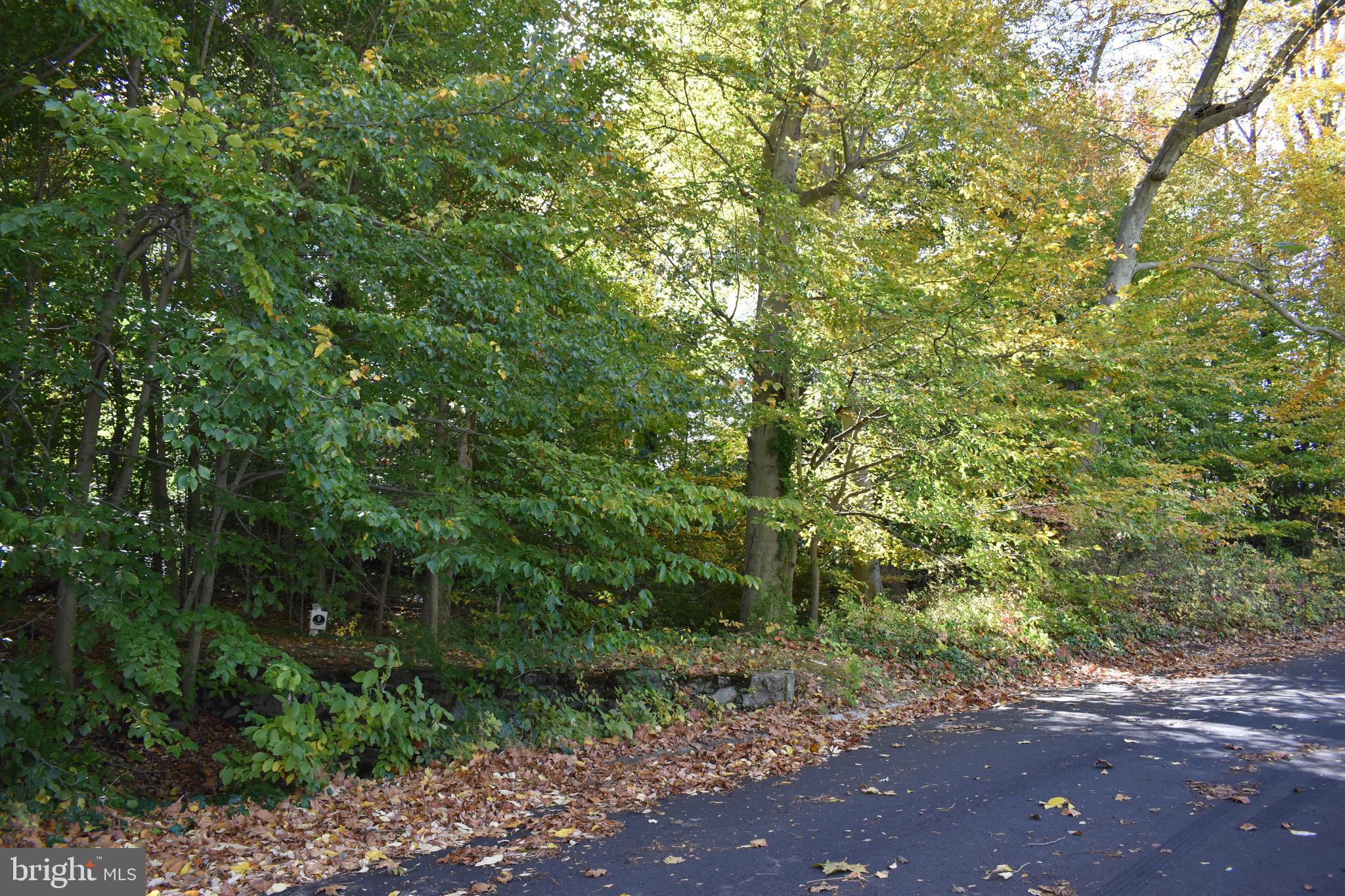 0 Bell Hill Road Wilmington, DE 19809 - Photo 2 of 2 a backyard of a house with lots of trees