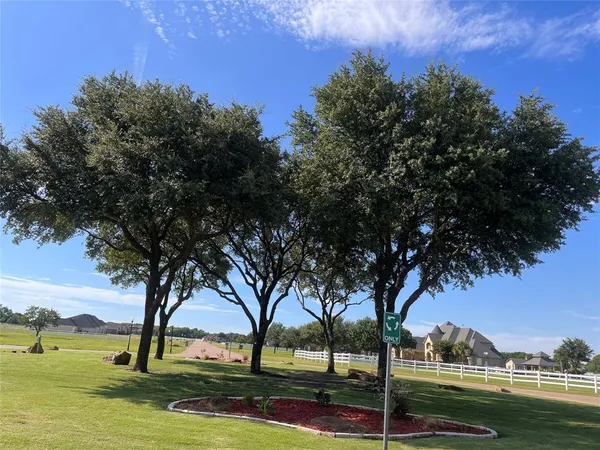 a view of a park with large trees