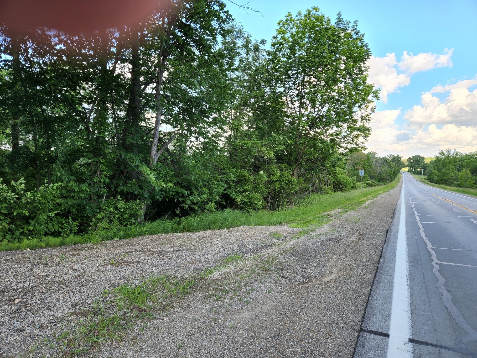 13292 Clinton Road Onondaga, MI 49264 - Photo 50 of 55 20220609_183056