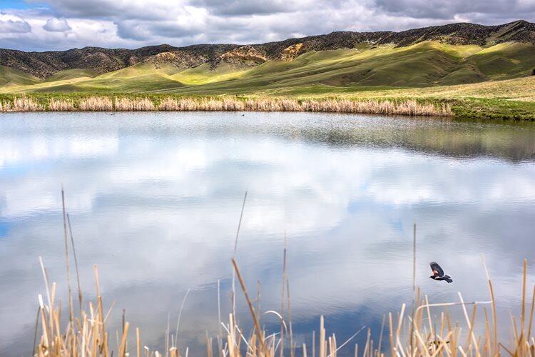 77 Sand Crk Rnch Road Buffalo, WY 82834 - Photo 11 of 29 45