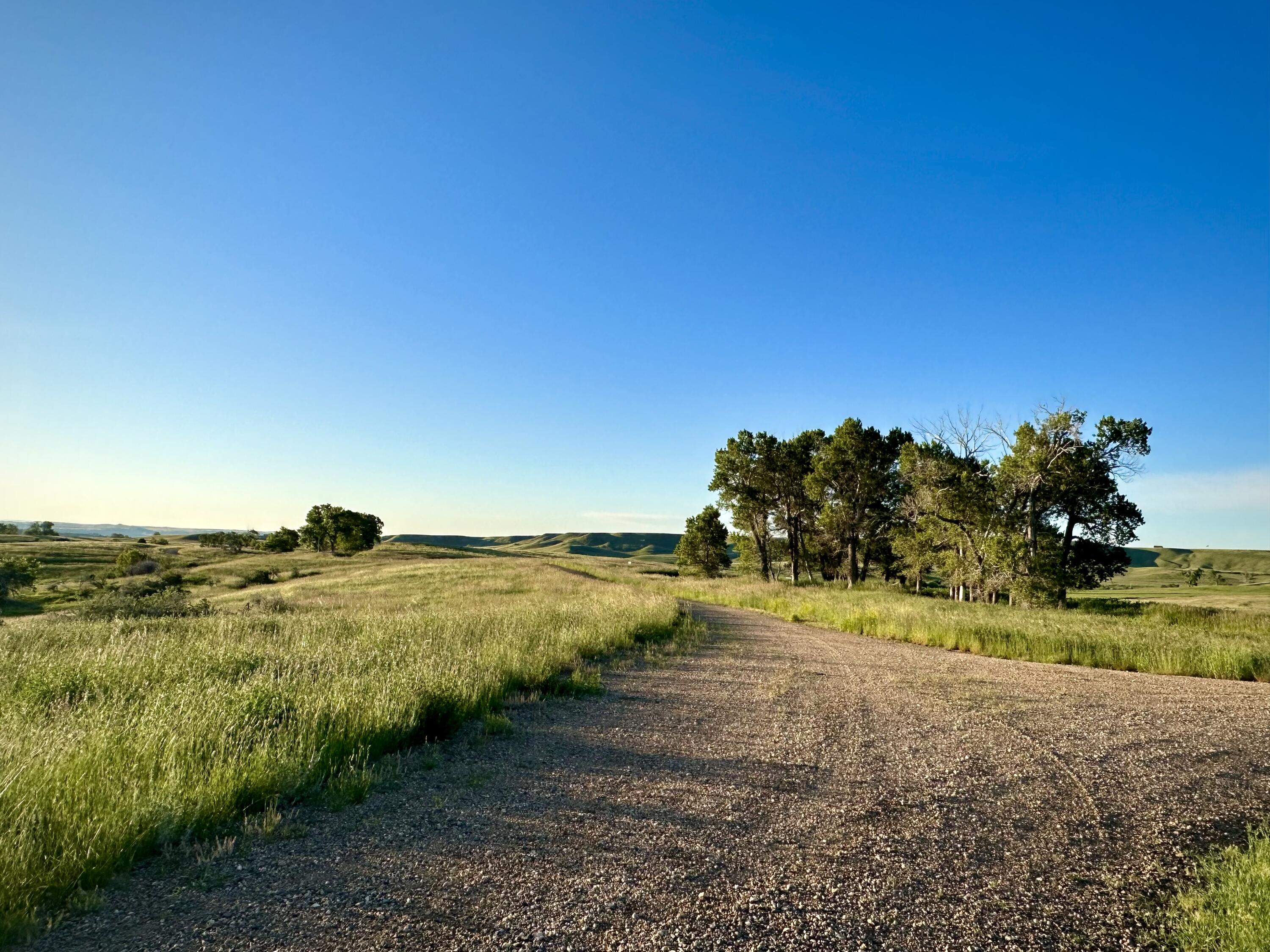 77 Sand Crk Rnch Road Buffalo, WY 82834 - Photo 15 of 29 50
