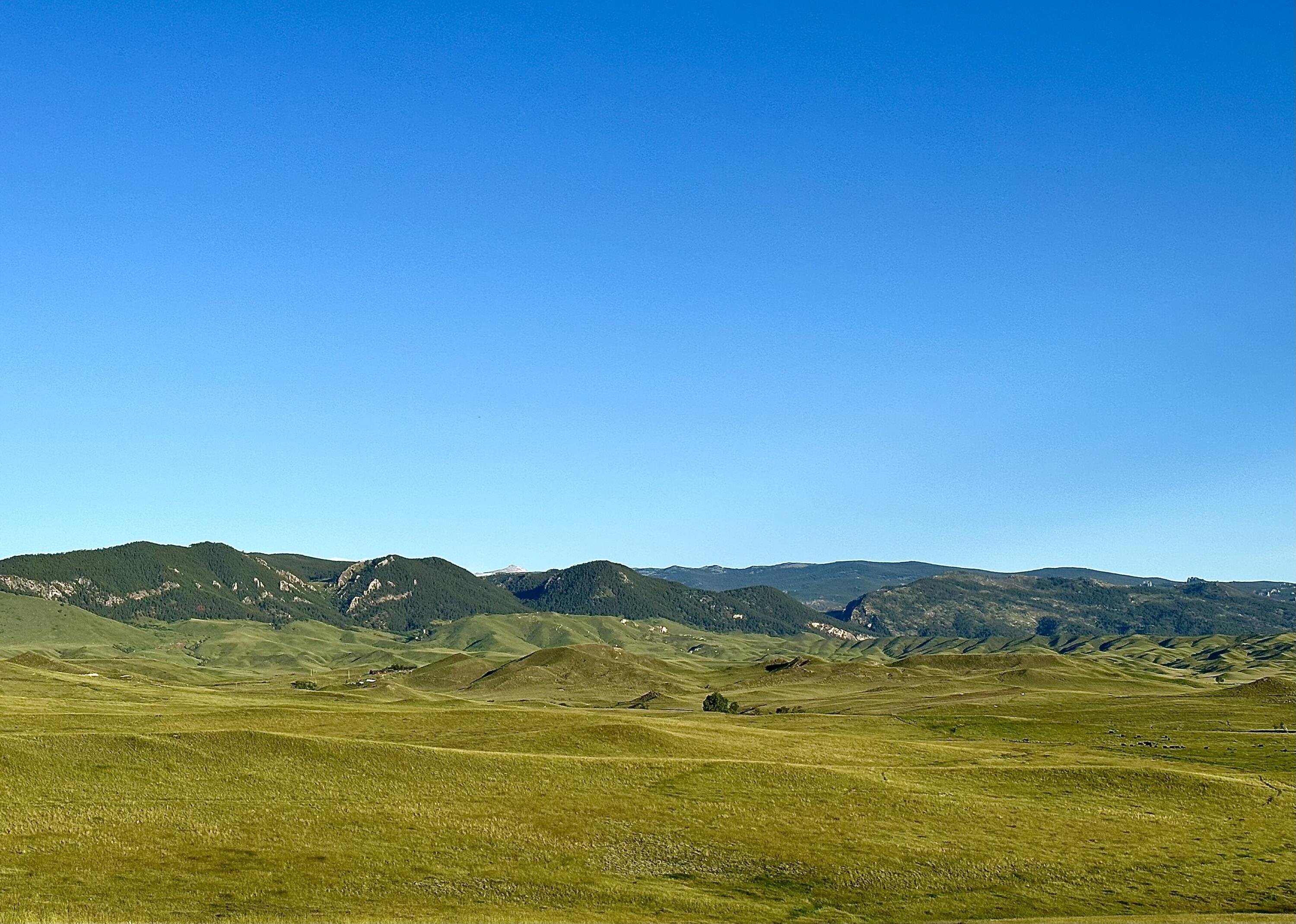 77 Sand Crk Rnch Road Buffalo, WY 82834 - Photo 16 of 29 51