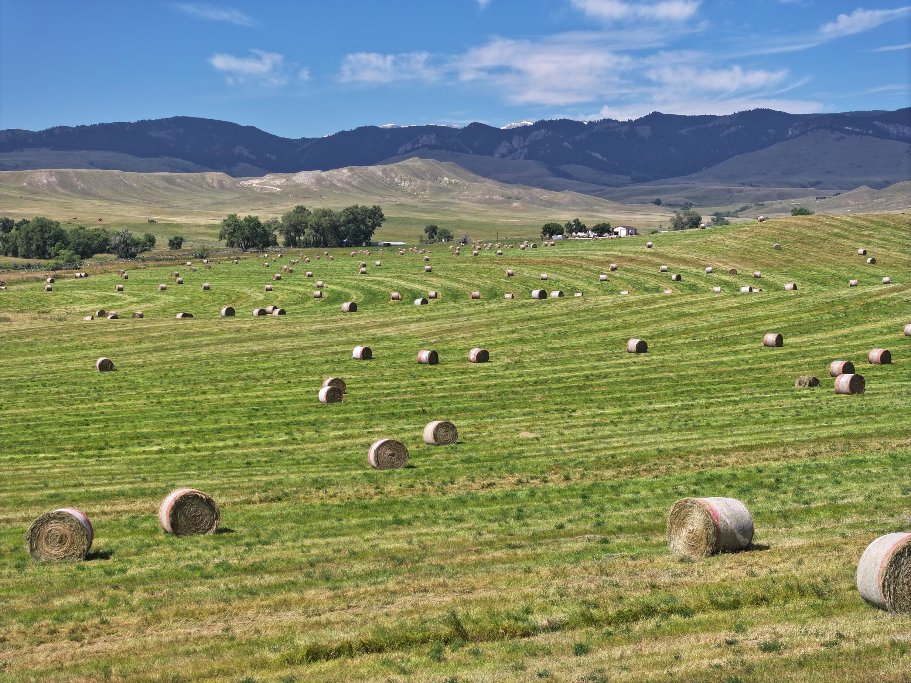77 Sand Crk Rnch Road Buffalo, WY 82834 - Photo 2 of 29 30