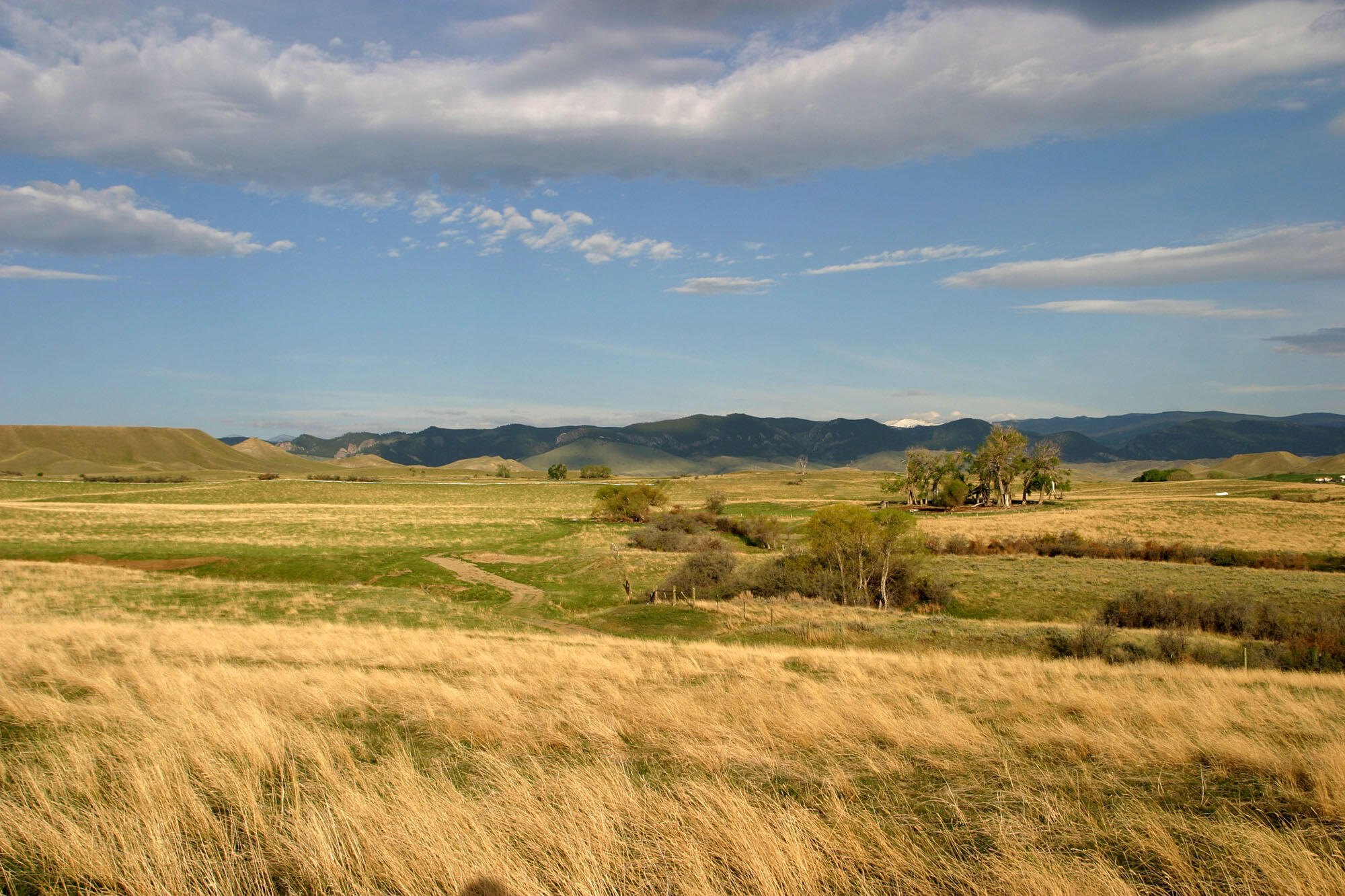 77 Sand Crk Rnch Road Buffalo, WY 82834 - Photo 21 of 29 61