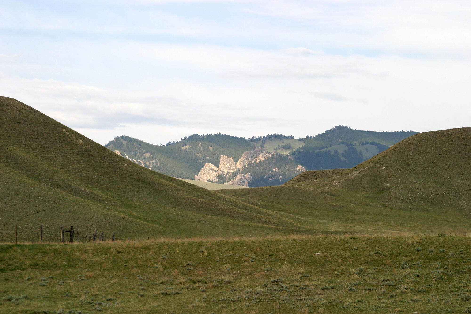 77 Sand Crk Rnch Road Buffalo, WY 82834 - Photo 22 of 29 62