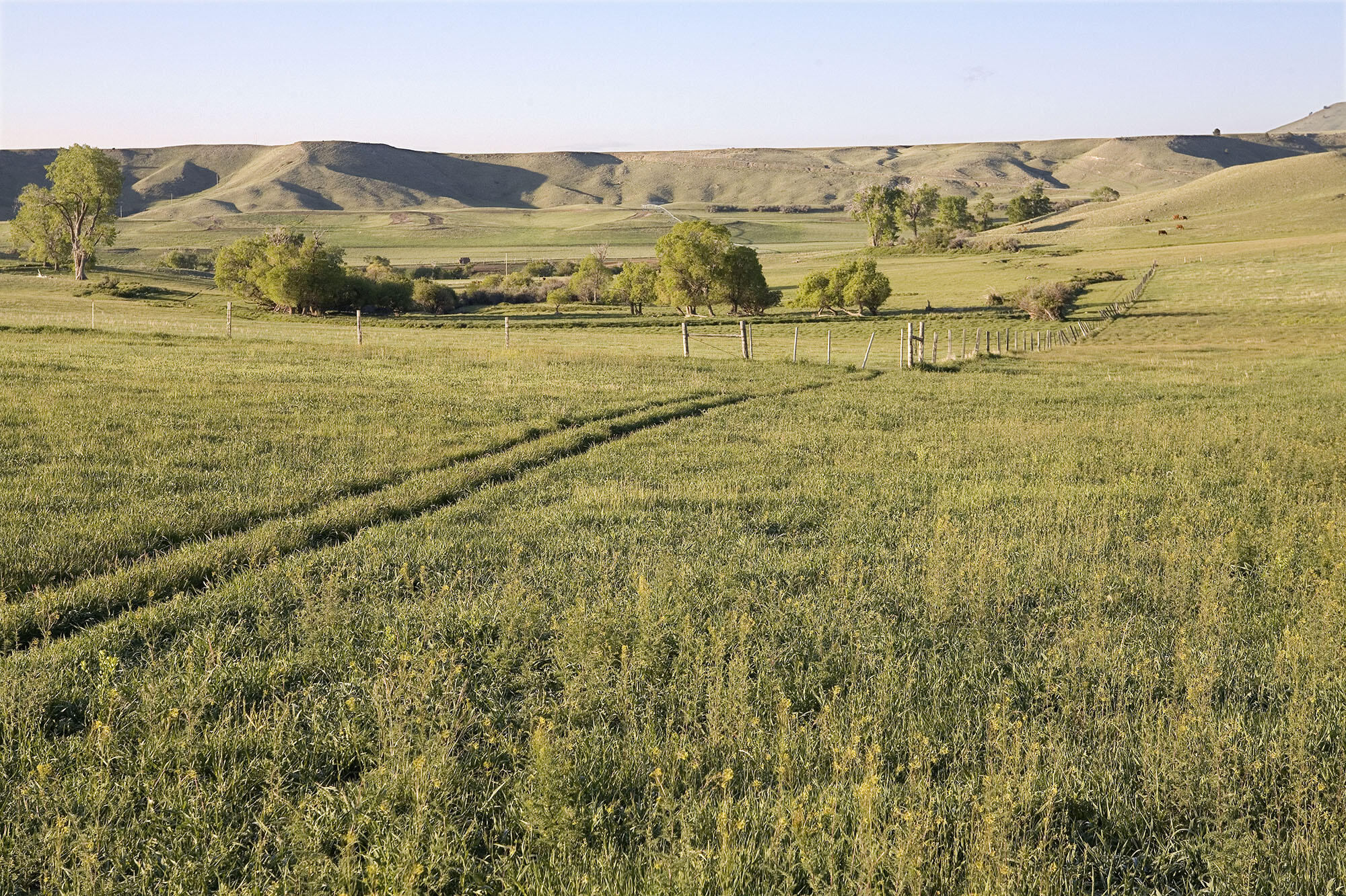 77 Sand Crk Rnch Road Buffalo, WY 82834 - Photo 23 of 29 63