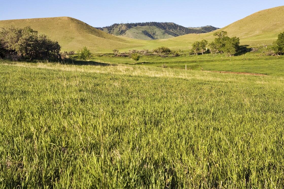 77 Sand Crk Rnch Road Buffalo, WY 82834 - Photo 24 of 29 64