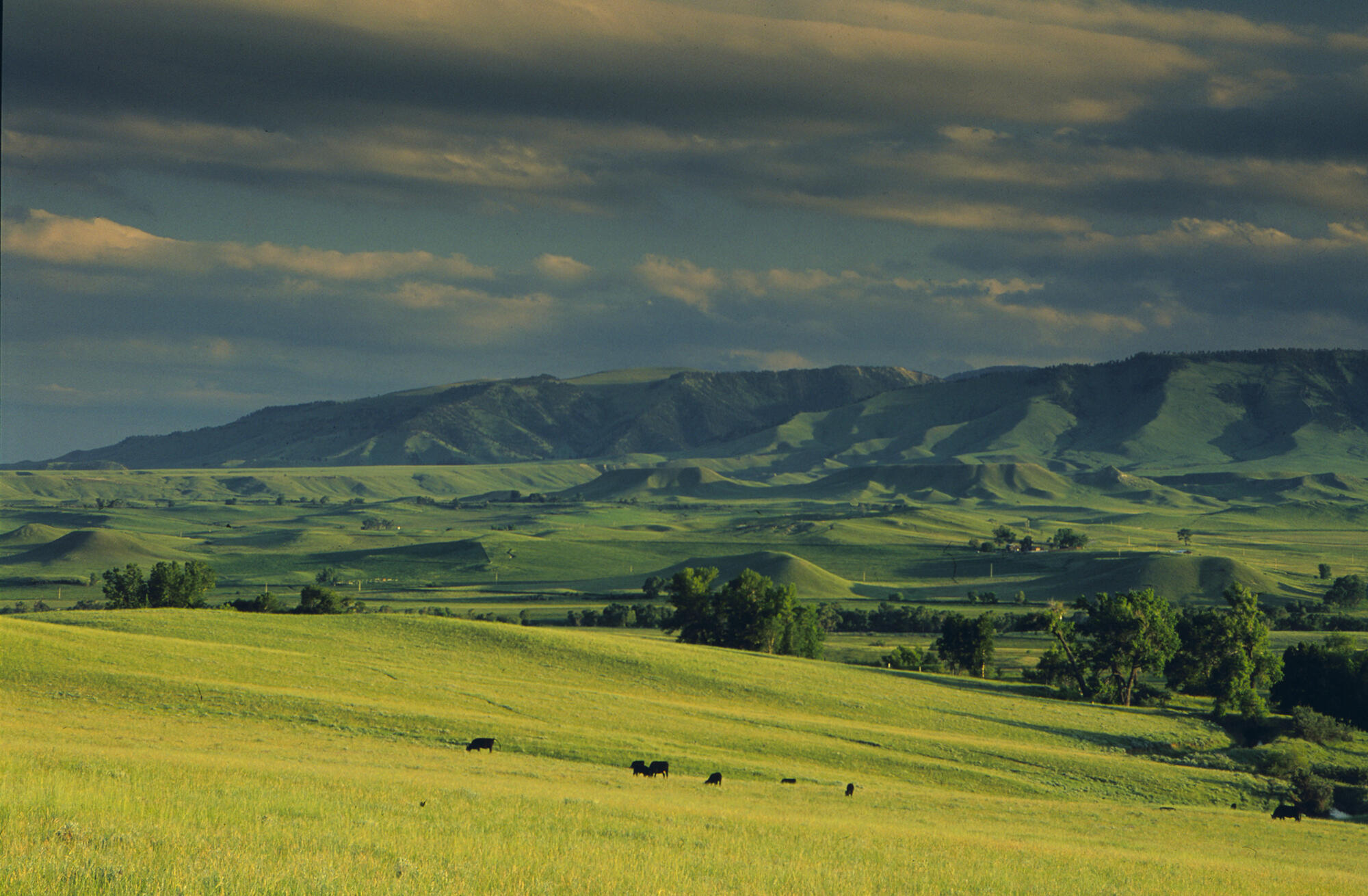 77 Sand Crk Rnch Road Buffalo, WY 82834 - Photo 25 of 29 69