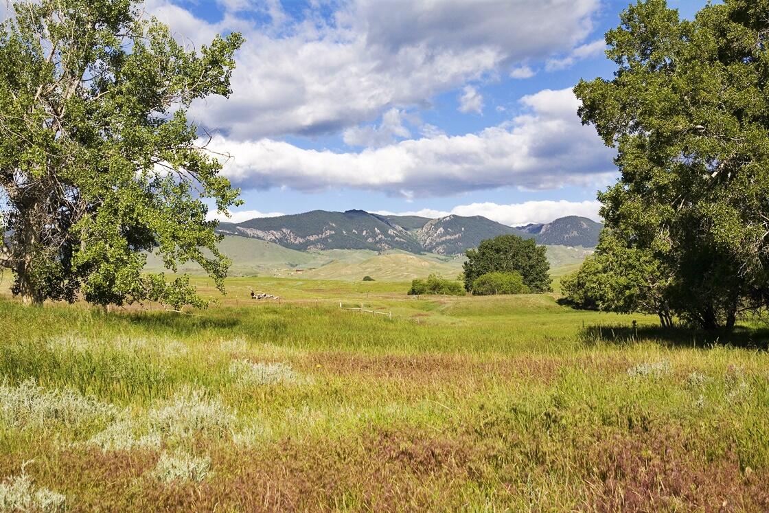 77 Sand Crk Rnch Road Buffalo, WY 82834 - Photo 26 of 29 65