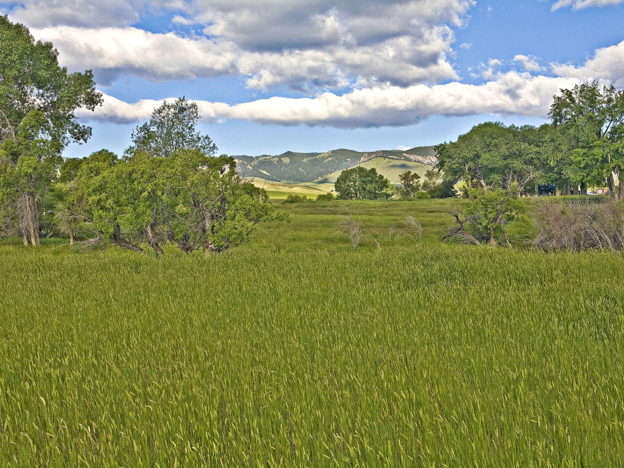 77 Sand Crk Rnch Road Buffalo, WY 82834 - Photo 27 of 29 66