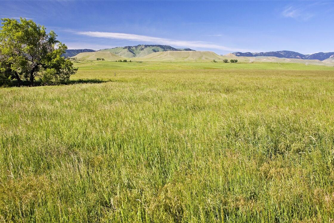 77 Sand Crk Rnch Road Buffalo, WY 82834 - Photo 29 of 29 68