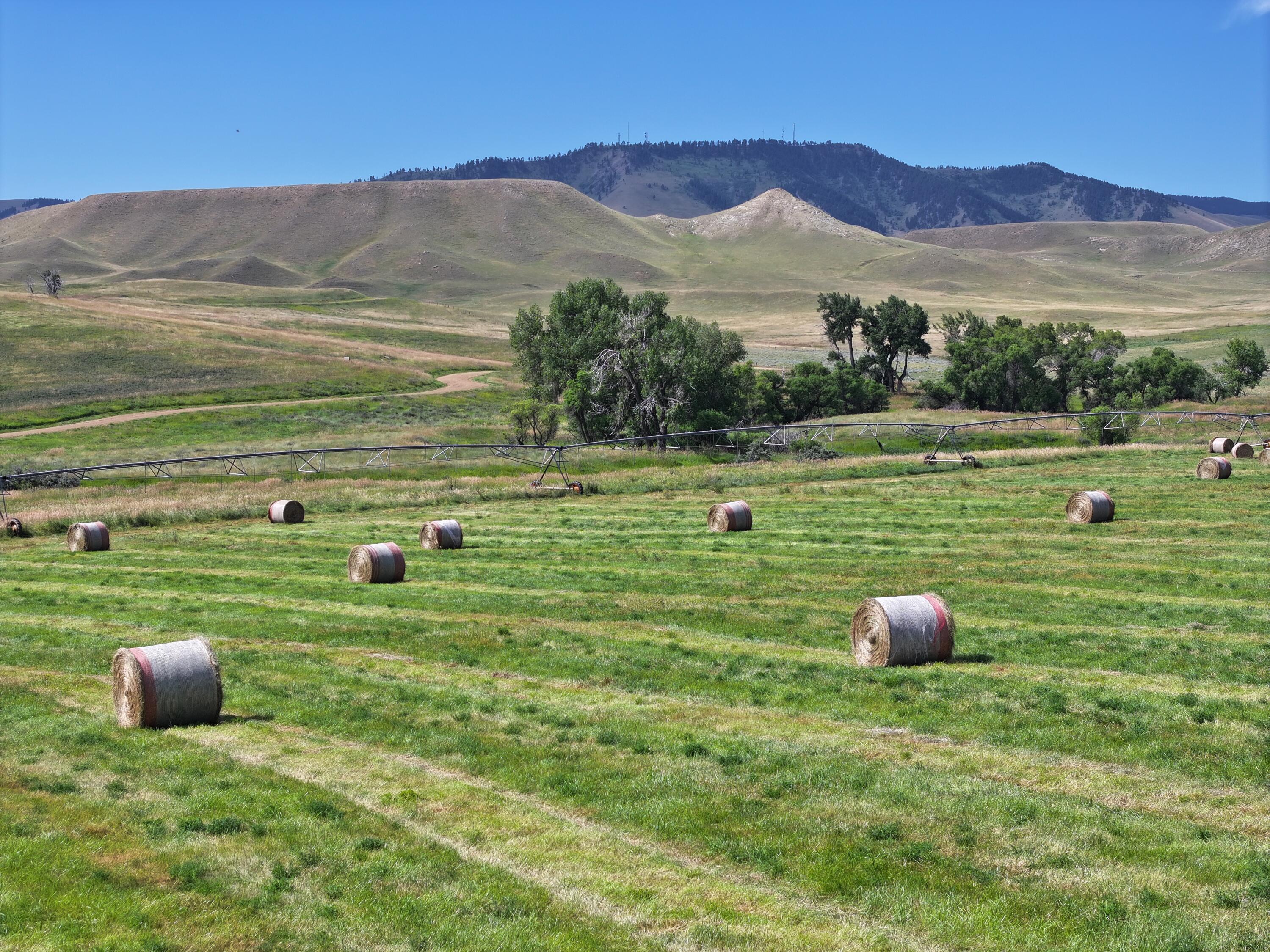 77 Sand Crk Rnch Road Buffalo, WY 82834 - Photo 3 of 29 31